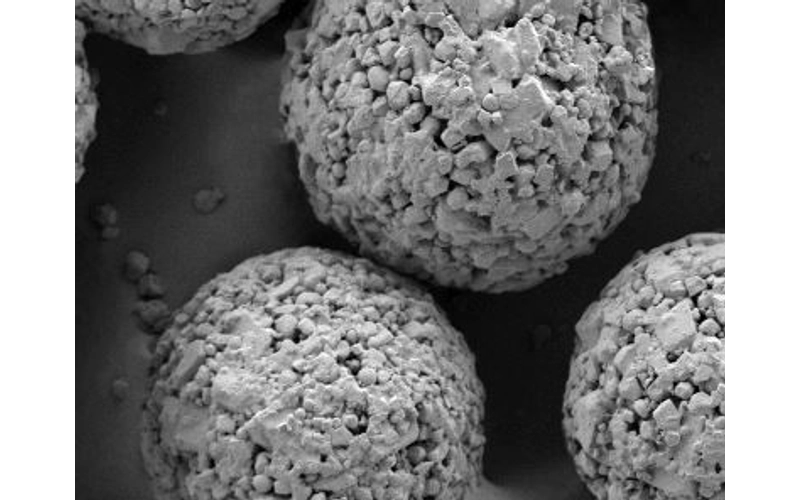 StarLose - Pharma Excipients